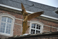 DSC_3420