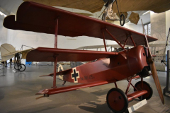 DSC_0243